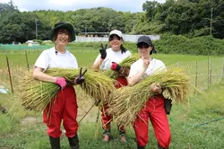 専修学校　猪名川甲英高等学院