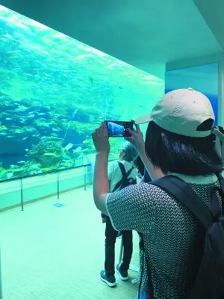 水族館見学の様子