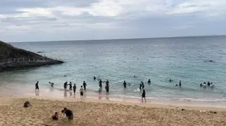 ☆沖縄修学旅行☆沖縄に行きます！歴史や文化を学び、仲間と一緒に楽しく班行動します！一生の思い出になること間違いなし！