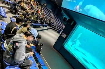 毎年実施する修学旅行や年5回の校外学習、体育祭は大人気。仲間との関係を深める機会や新たな自分を発見する機会になります。参加は任意で、自分に合うタイミングで参加してもらえます。