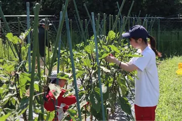勉強や座学は苦手だけど、身体を動かすことは大好き、猪名川甲英はそんなあなたのための学校です。
