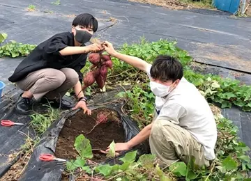 農業実習では、学院の畑で無農薬野菜を育てています。