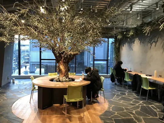 キャンパス写真