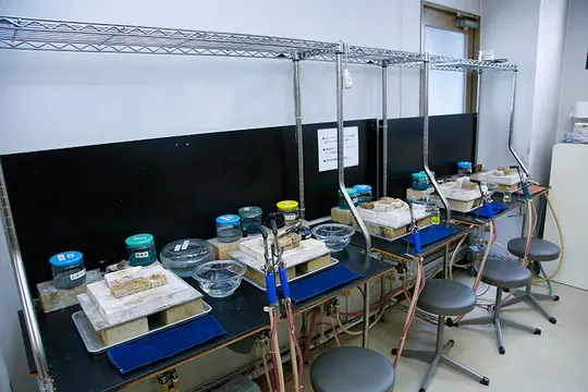 キャンパス写真