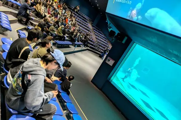 毎年実施する修学旅行や年5回の校外学習、体育祭は大人気。仲間との関係を深める機会や新たな自分を発見する機会になります。参加は任意で、自分に合うタイミングで参加してもらえます。