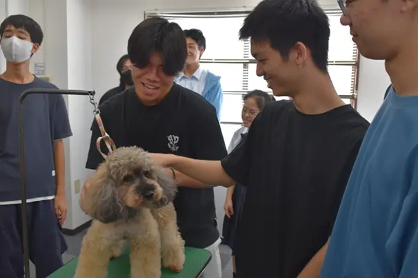 将来の進路選択に欠かせない体験型職業ガイダンス