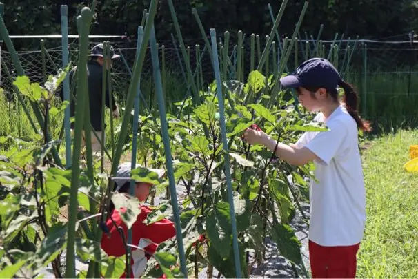 勉強や座学は苦手だけど、身体を動かすことは大好き、猪名川甲英はそんなあなたのための学校です。