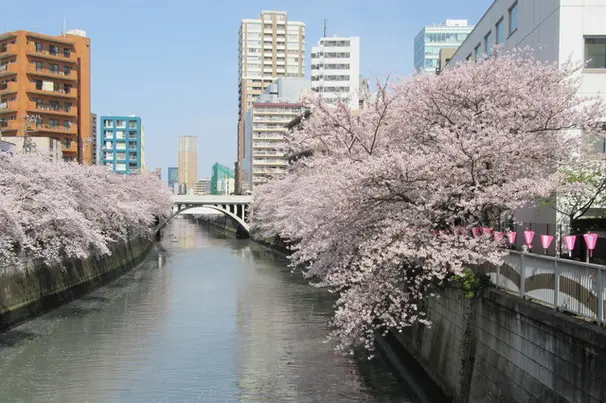 校舎周辺の風景